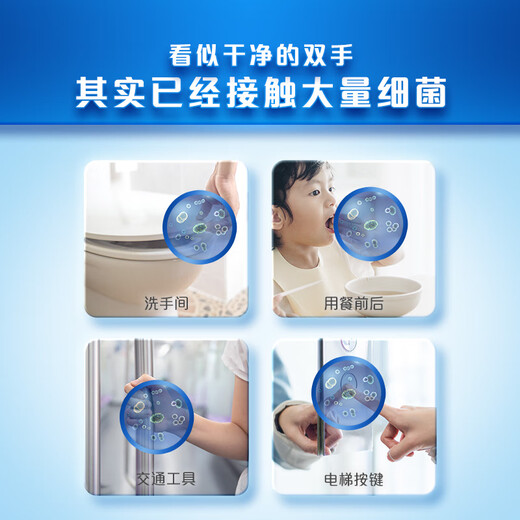 Safeguard Antibacterial Foam Hand Sanitizer Green Apple Scent 300g + Cherry Blossom Scent 300g Healthy Antibacterial 99.9%