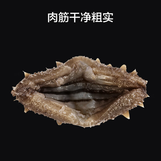 Jingdong Made in Dalian frozen ready-to-eat sea cucumbers, net weight 500g, family pack, 8-10 pieces, seafood nourishing gift box