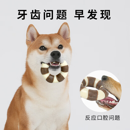 EETOYS Large Ring Dog Toy Eats and Plays Combining Teeth-Resistant Bite Cleaning Stick to Relieve Boredom in Alone Pet Supplies