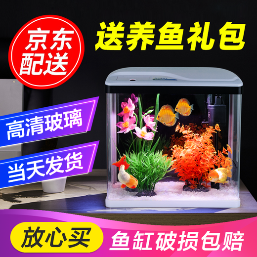 Changjiu Fish Tank Aquarium Small mini ecological desktop goldfish tank Fish tank Landscape float glass fish tank with light 240-Ordinary flower and grass landscaping + Fish farming