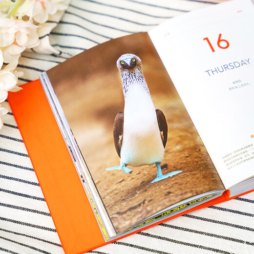 China National Geographic Beautiful Earth Series Seven Continents Buch Reisefotografiealbum Beautiful Earth 2026 Kalender