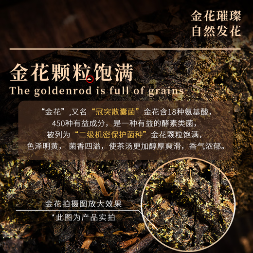 Yulon Quanjingyang Fu Tea Yuanshun Yulon Quan Xi'an Impression Blue Card Golden Flower Fu Tea Black Tea Fu Brick Tea Shaanxi Specialty Yulon Quan Xi'an Impression 460g