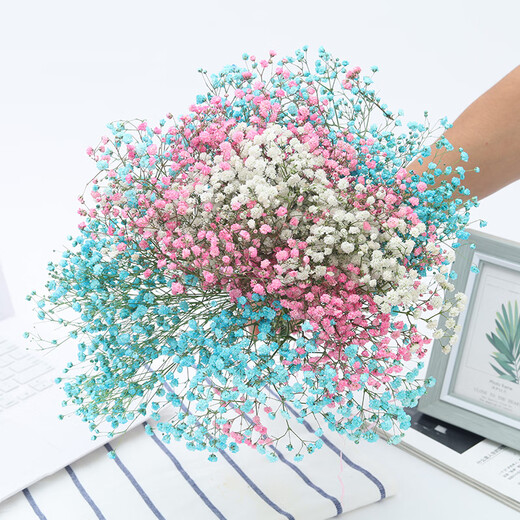 AIMAN Yunnan straight-haired dried flower bouquet real flower home furnishing decoration small fresh living room office decoration air-dried bouquet colorful baby's breath without vase