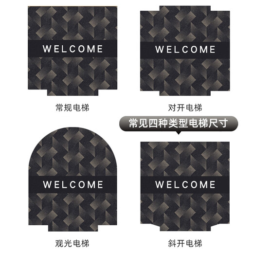Shannixiu elevator carpet car mat wear-resistant, non-slip, water-absorbent and soil-rubbing foot mats, commercial home LOGO customization