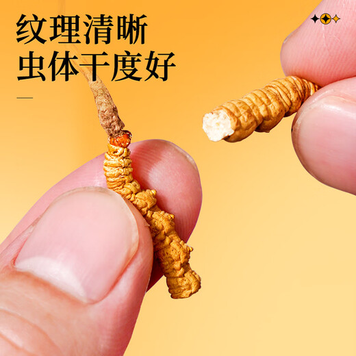 雷允上断草10g冬虫夏草干货 自用家庭实惠装老年人营养品父亲节礼物