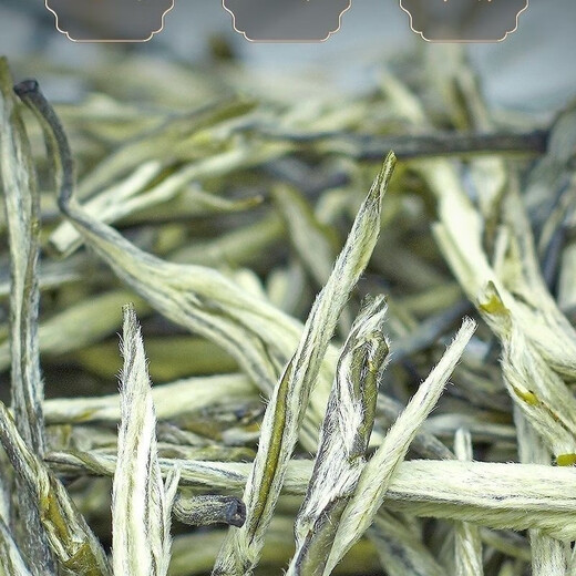 Ganxiangpo Xiangzhen Green Tea 2024 New Tea Yunnan Green Tea Strong Fragrance Type Hair Tip Spring Tip Silver Silk Pine Needle 2024 Green Tea Pine Needle Bag 500g