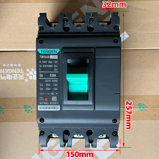 天正电气TENGENTGM1N塑壳断路器总闸开关100A12250A400A63 TGM1N-63L/330063A以下(备注)