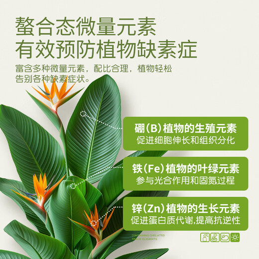 Stanley large element water-soluble fertilizer for flowers, high nitrogen, high phosphorus, high potassium nitrogen fertilizer, phosphate fertilizer and potassium fertilizer, general compound fertilizer 100g