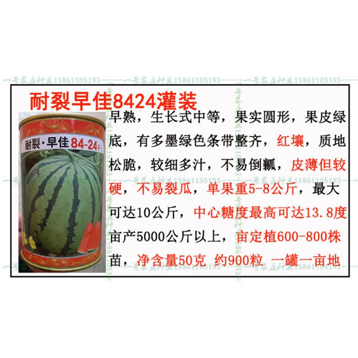 Chunzhiyun Watermelon Seeds Super Sweet Duzaojia 8424 Kirin Resistant to Cracking Red Flesh Early Mature Thin-Skinned Seedless Watermelon Seeds Resistant to Cracking and Thin-Skinned Red Flesh Zaojia 8424 Canned 900 Tablets