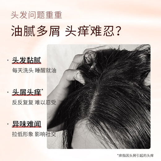 滋源洗发水535ml*2大瓶套装洗护套装 无患子控油清爽祛屑蓬松柔顺男女 控油去屑洗发水535ml*2大瓶