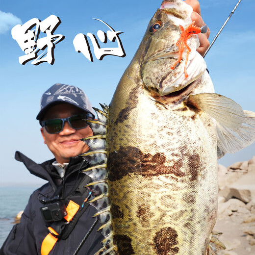 
Blue Sailfish 22 Ambition Root Fishing Mandarin Fish Rod Super Fast Adjustment Lure Rod Universal Lightweight High Sensory Rod Stem Steamed Bass 2.03m /C-682M Gun Handle 2 Sections