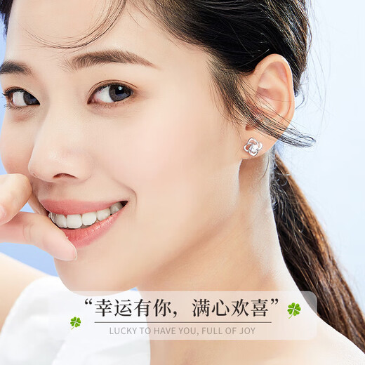 China Gold (CHINA GOLD) platinum four-leaf clover earrings for women platinum fashion earrings earrings birthday gifts for girlfriend and wife wedding anniversary platinum eternal four-leaf clover earrings/Jingsuda