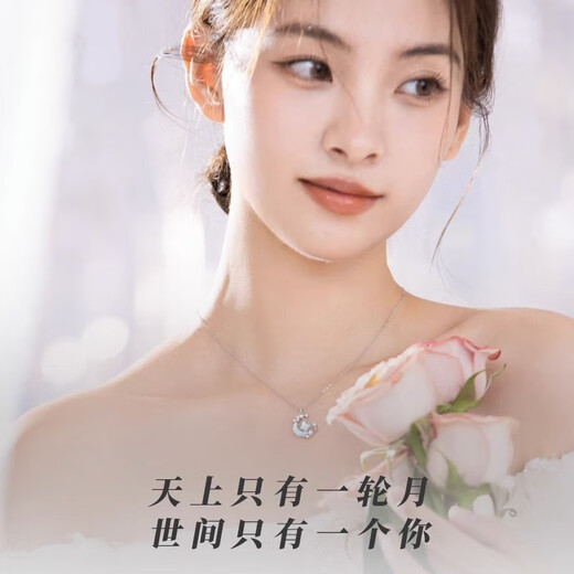 Farcoko Star-Moon Butterfly Shadow Necklace for Women Light Luxury Niche Ladies Simple Clavicle Chain Christmas Valentine's Day Birthday Gift for Girlfriend Star-Moon Butterfly Shadow Necklace Free Engraving + Exquisite Gift Box