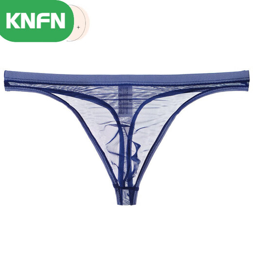 KNFN Men's Nude Transparent Thong Thin Mesh Sexy Underwear Love 1 Fun Temptation 1 Temptation Breathable Men's Youth Pants Light Blue M