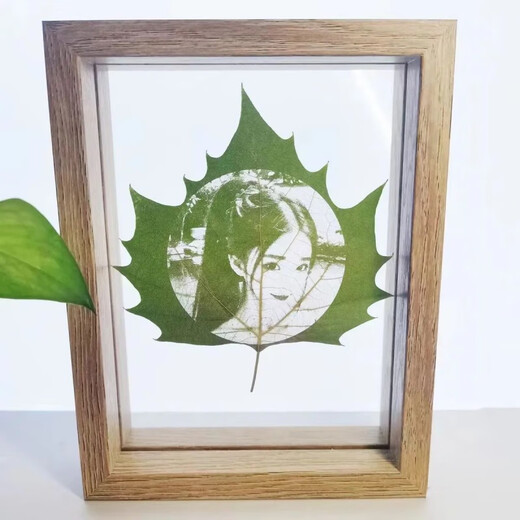 Wutong leaf carving and leaf carving photos high-end customization gifts for couples and friends to give gifts for best friends on Chinese Valentine's birthday. Wutong leaf + plastic seal + 6-inch photo frame with lights. Post a photo after placing an order (customer service)