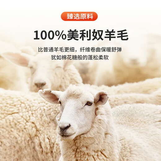 安东尼奥【610克重磅加厚】通勤保暖100%羊毛拉链开衫男秋冬外穿毛衣外套 时尚灰 52(180/96A)