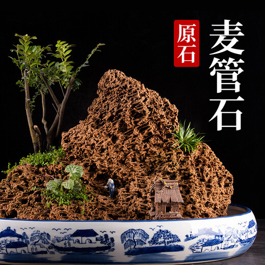 Shiguang Xiaozhan's high-quality gold straw stone, natural water-absorbing stone, rockery, bonsai, strange stone, plant fossil small ornaments, straw stone 16-20cm piece