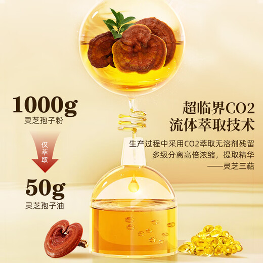 内廷上用正宗蓝帽合辉牌灵芝孢子油软胶囊破壁孢子粉提取长白山增强 蓝帽合辉牌灵芝孢子油软胶60粒
