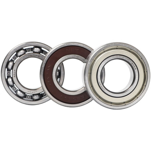 NSK Japanische Lager 6213 6214 6215 6216 6217 6218 6219 6220ddu Zz Other 6216-zz-Eisenabdeckung Seal