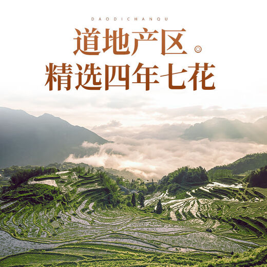 Peking Tongrentang Sanqihua Yunnan Wenshan Special Wild Vierjähriger Pflanze Qihua Health Tee ausgewählt Vierjährige neue Blume 100g