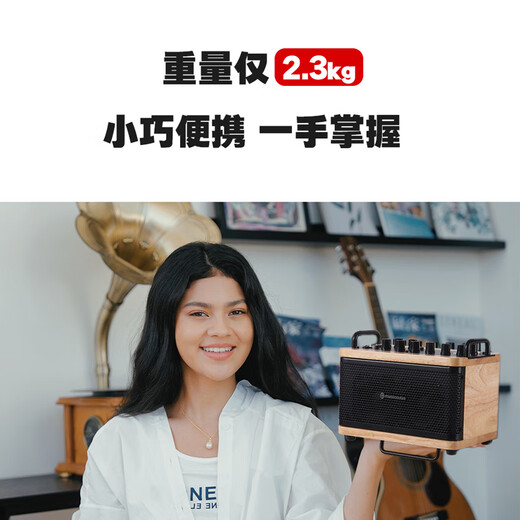 Music Knight 24 new model D2 electric blowpipe saxophone musical instrument small audio guitar playing and singing outdoor portable live broadcast internal recording small speaker D2 oak color standard + speaker bag