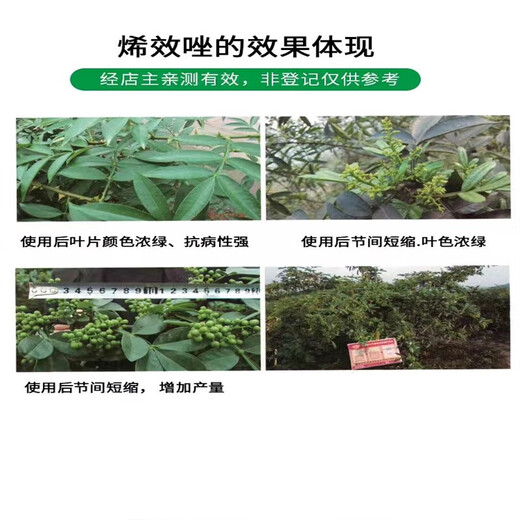 Jianpai Uniconazole pesticide, citrus and lychee shoot control flower promoter, control shoot growth hormone, control the growth of pepper, old drug diconazole 500g