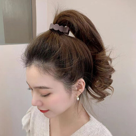 Chimera (CHIMERA) 2-piece set of simple hair clips, high ponytail fixing artifact, Internet celebrity shark hair clips, hair clips for the back of the head