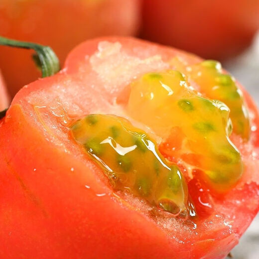 Gala fruit strawberry persimmon seed fruit tomato vegetable seed persimmon seed potted seedling seed also called alkaline persimmon 100 capsules