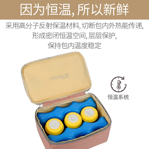 Baoshen Milchbeutel mit Mutterbeutel einschicht gekühlte Muttermilch Frische Mutter Bag Ice Bag Mutter und Babybeutel Bento Bag Milchbeutel [wasserdicht und Anti-Fouling] Hellgrau + 2 blaues Eis
