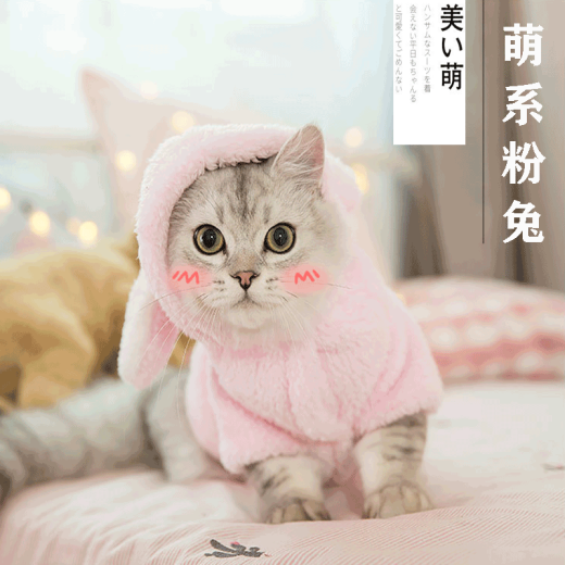 Yuyangxuan cat clothes Internet celebrity autumn and winter clothes kitten cute kitten pet winter warm kitten cat cute funny pet clothes transformation outfit small milk cat hairless cat American shorthair cute pink rabbit [L] bust 40cm back length 37cm (8, -10Jin[Jin equals 0.5kg])