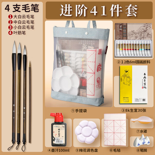Surada Chinese Painting Pigments Chinese Painting Pigments Chinese Painting Pigment Set Beginner Students Children's Ink Painting Landscape Painting Set 12 Colors 6ML Handbag Set SD149