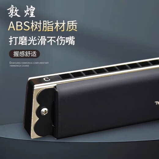 Oriental Ding Dunhuang 24-hole monophonic harmonica 12-tune beginner adult single hole single row professional playing harmonica matte black C-tune
