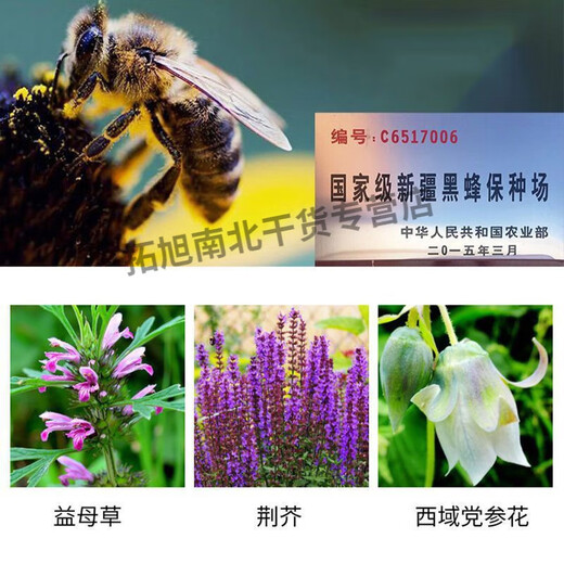 Guozigou Xinjiang Guozigou Black Honey Special Raw Honey Nourishing and Beauty Convenient Bottle 1 Bottle (500g)