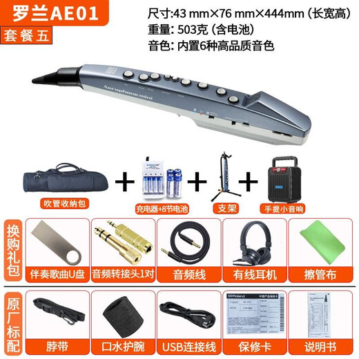 Xianhuaida Authentische japanische Marke Roland AE-01 Electric Hair Tube Old Man Elektrische Saxophon Elektronische Instrument Erhu AE0 Roland AE-01c Nationaler Version (Paket sechs)