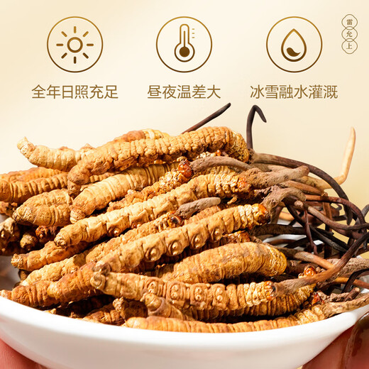 4 Wild Cordyceps Sinensis на lei Yunshang/g 30g Около 120 Cordyceps Sinensis Gif