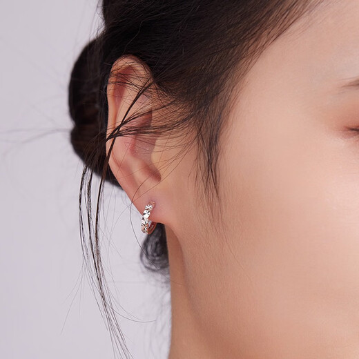 Liuguifu Jewelry Platinum Earrings Women's PT950 Earrings Brilliant Car Flower Sparkling Earrings Birthday Gift 1.90g