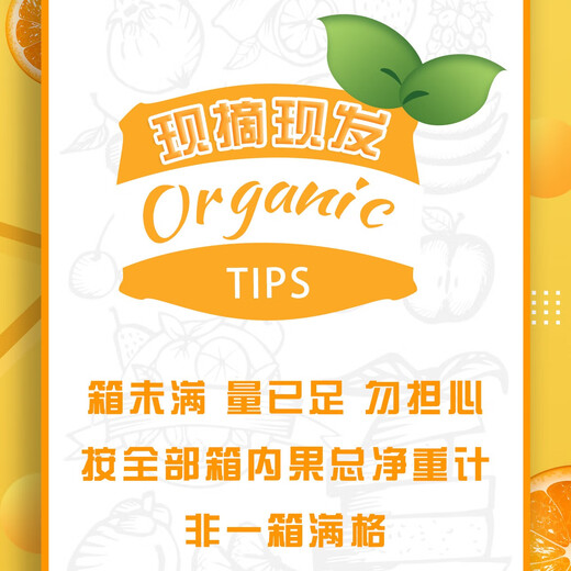 京鲜生 四川爱媛38号果冻橙 净重8.5-9斤 单果210g+ 源头直发包邮