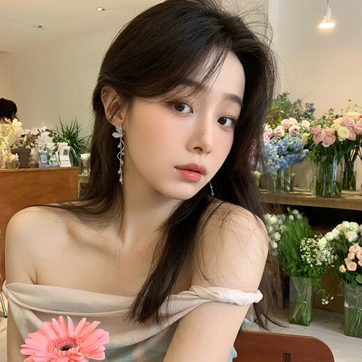 Light Blue Butterfly Tassel Elegant Earrings Women's Light Luxurious Niche Design Earrings Long Style Earrings Main Image