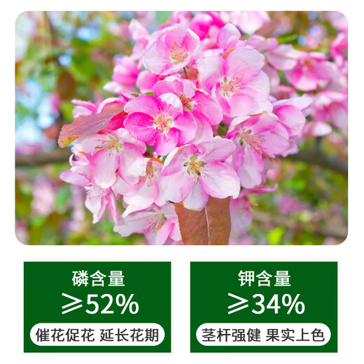 Yuntianhua Potassium Dihydrogen Phosphate Flower Fertilizer Agricultural Potassium Fertilizer Water-soluble Fertilizer for Fruit Trees and Wheat Premium Product 1000g 1 Bag Authenticity Guaranteed