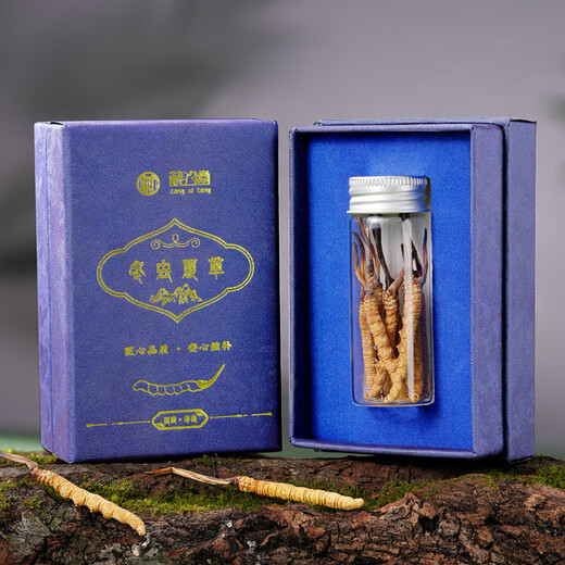 藏汐堂冬虫夏草3根/g 1克 3根装新干虫草头期冬虫草试用款