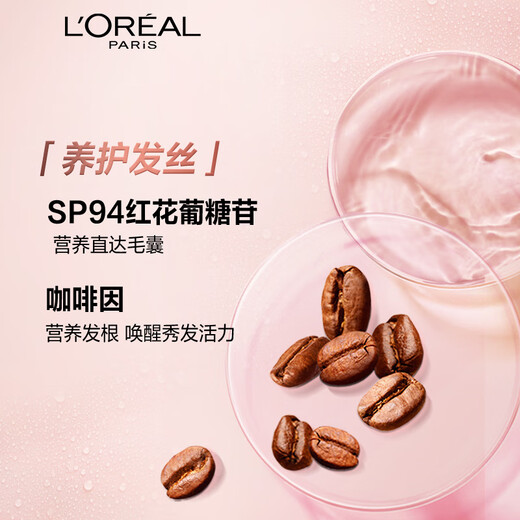 L'Oreal Vitalität Ingwer Shampoo 100ml (Reisepaket)
