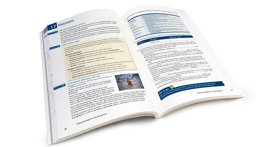 Neue Version von Cambridge Practical Professional English Management English (mit Antworten)