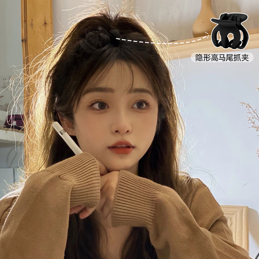 Idel ball hair clip high ponytail fixed artifact back head hair shark clip head jewelry pumpkin catch clip female ponytail black pumpkin clip F1280