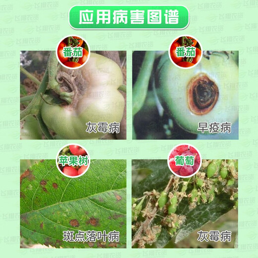 Fumei Shipu Hydantoin Iprodione Tomato Grape Cucumber Apple Botrytis Botrytis Sclerotinia Early Blight Pesticide Fungicide 100ml