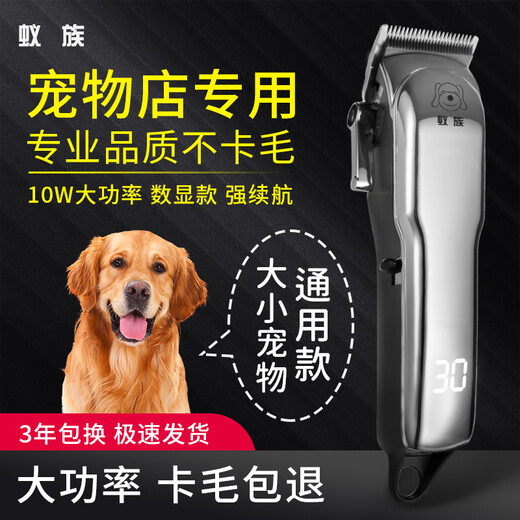 Ant Professional Pet Shaver Dog Electric Clipper for Large Dogs Golden Retriever Teddy Curly Dog High Power Electric Clipper S10