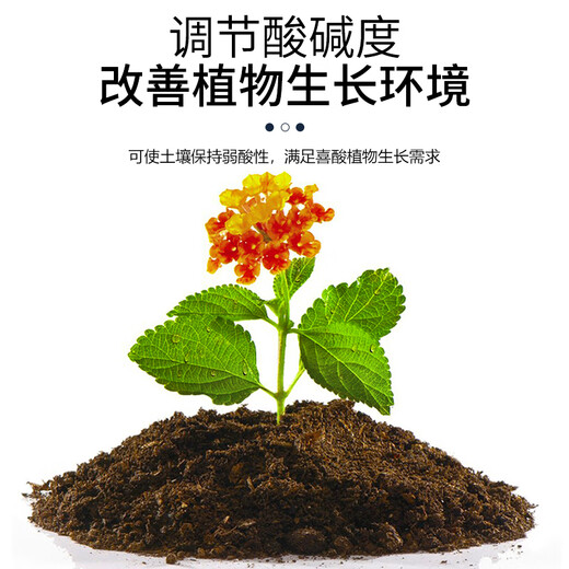 Correct Flower Lotto * Ferrous Sulfate Flower Fertilizer Acid-loving Plants Yellow Leaves Fall Leaves for Flowers and Green Plants Iron Supplementing Water-Soluble Fertilizer 500g