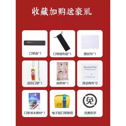 国光口琴24孔复音C调初学者学生儿童男女自学入门口风琴乐器 【国光星光银】10孔布鲁斯+原厂配件
