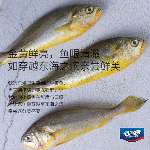 Seaview Frozen East China Sea Small Yellow Croaker 1Jin Jin is equal to 0.5kg 16-20 pieces Fresh fish Seafood aquatic products BBQ Sea-caught New Year's Eve