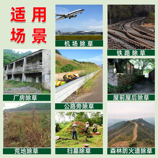 Eastern Sichuan pesticide cyclazinone copper weed killer, large trees, bamboos, shrubs, rotten roots and dead roots special pesticide herbicide 500g*10 bags