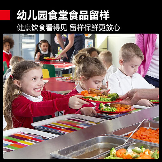 SAST ice bar refrigerator European style constant temperature wine cabinet office hotel home refrigerator mini small single door gaming tea preservation cabinet display sample beverage medicine cabinet 50 liters black (fully refrigerated preservation + lock)